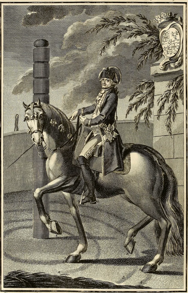 An illustration from Luz da liberal, e nobre arte da cavallaria : offerecida ao Senhor D. João, principe do Brazil, 1790, leaf 497