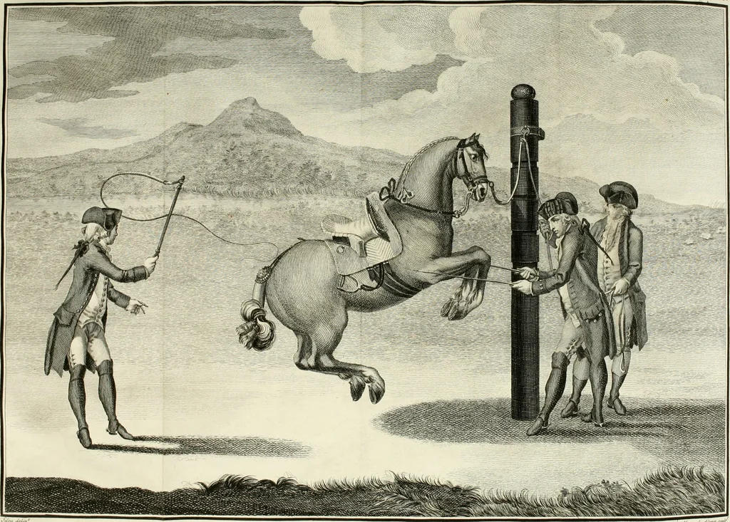 An illustration from Luz da liberal, e nobre arte da cavallaria : offerecida ao Senhor D. João, principe do Brazil, 1790, leaf 501