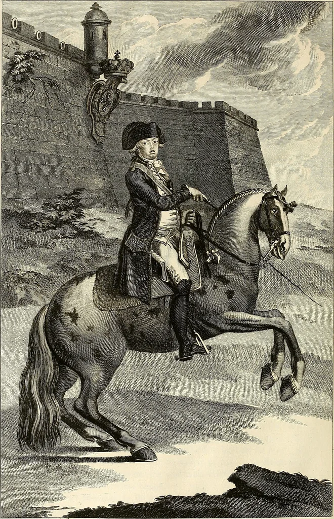 An illustration from Luz da liberal, e nobre arte da cavallaria : offerecida ao Senhor D. João, principe do Brazil, 1790, leaf 505