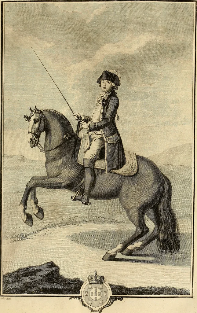 An illustration from Luz da liberal, e nobre arte da cavallaria : offerecida ao Senhor D. João, principe do Brazil, 1790, leaf 514