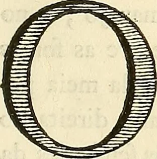 An illustration from Luz da liberal, e nobre arte da cavallaria : offerecida ao Senhor D. João, principe do Brazil, 1790, leaf 516