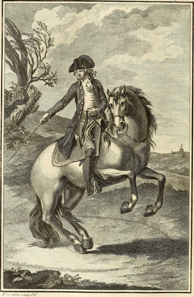 An illustration from Luz da liberal, e nobre arte da cavallaria : offerecida ao Senhor D. João, principe do Brazil, 1790, leaf 519