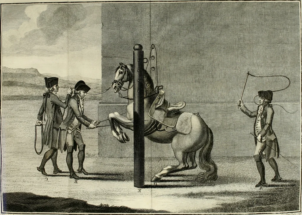 An illustration from Luz da liberal, e nobre arte da cavallaria : offerecida ao Senhor D. João, principe do Brazil, 1790, leaf 537