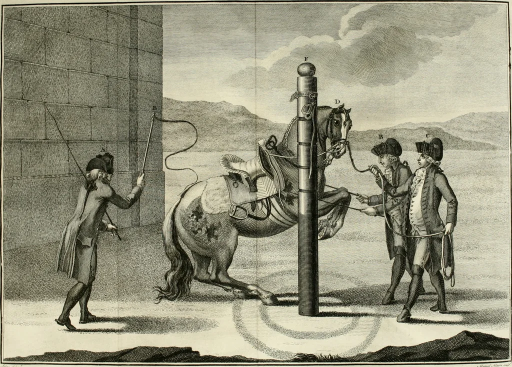 An illustration from Luz da liberal, e nobre arte da cavallaria : offerecida ao Senhor D. João, principe do Brazil, 1790, leaf 545