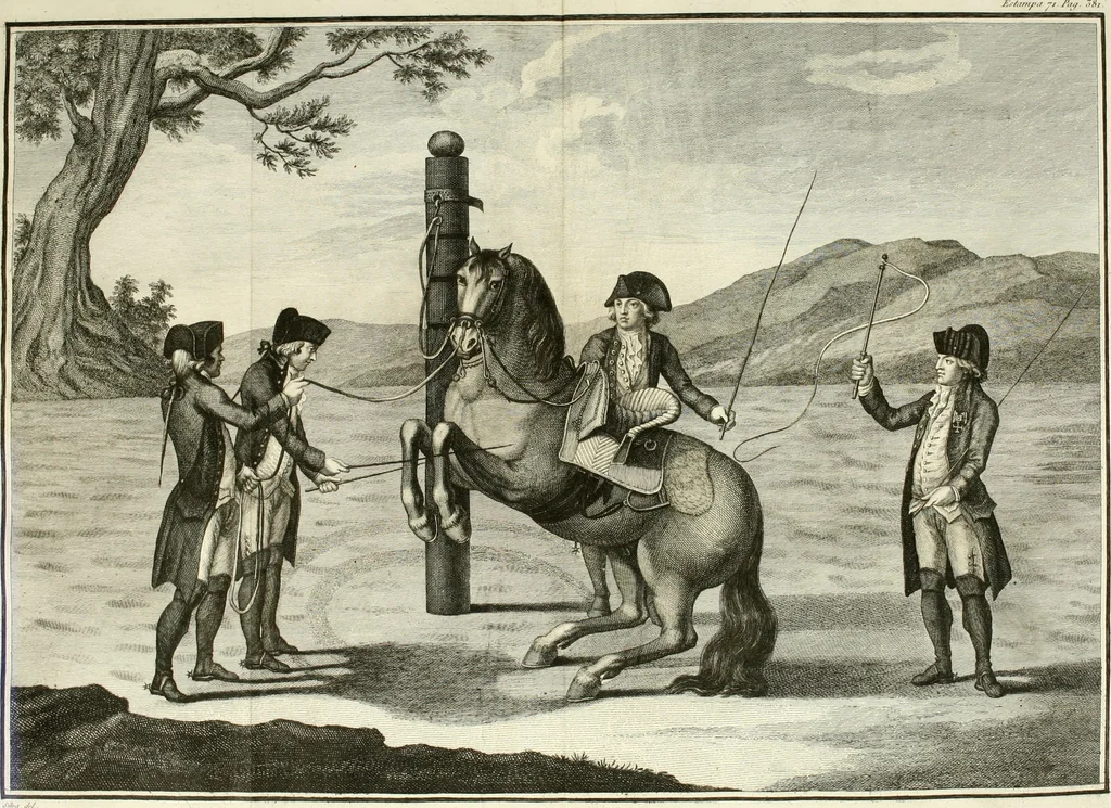 An illustration from Luz da liberal, e nobre arte da cavallaria : offerecida ao Senhor D. João, principe do Brazil, 1790, leaf 555
