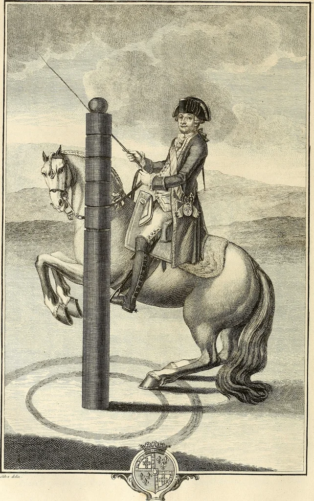 An illustration from Luz da liberal, e nobre arte da cavallaria : offerecida ao Senhor D. João, principe do Brazil, 1790, leaf 565
