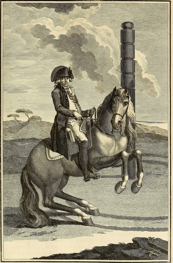 An illustration from Luz da liberal, e nobre arte da cavallaria : offerecida ao Senhor D. João, principe do Brazil, 1790, leaf 570