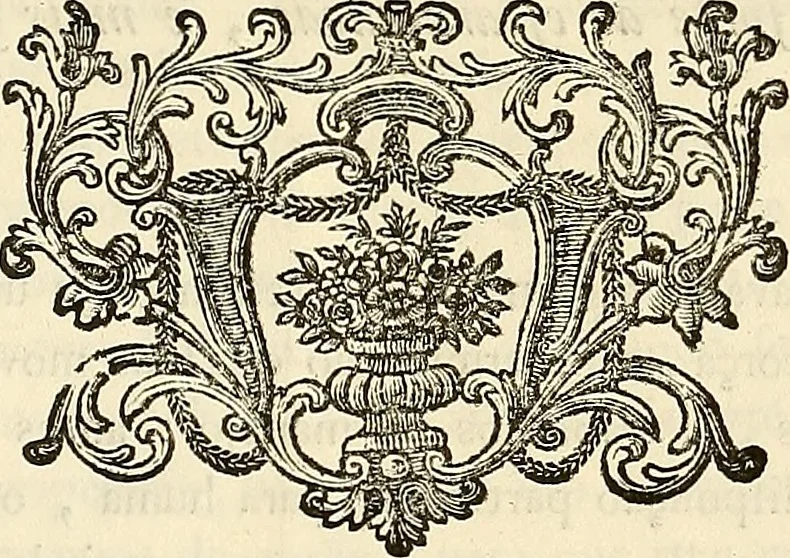 An illustration from Luz da liberal, e nobre arte da cavallaria : offerecida ao Senhor D. João, principe do Brazil, 1790, leaf 578
