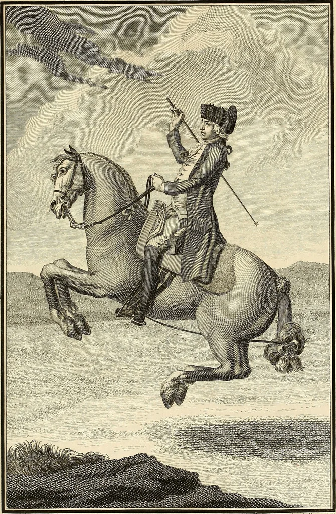 An illustration from Luz da liberal, e nobre arte da cavallaria : offerecida ao Senhor D. João, principe do Brazil, 1790, leaf 590