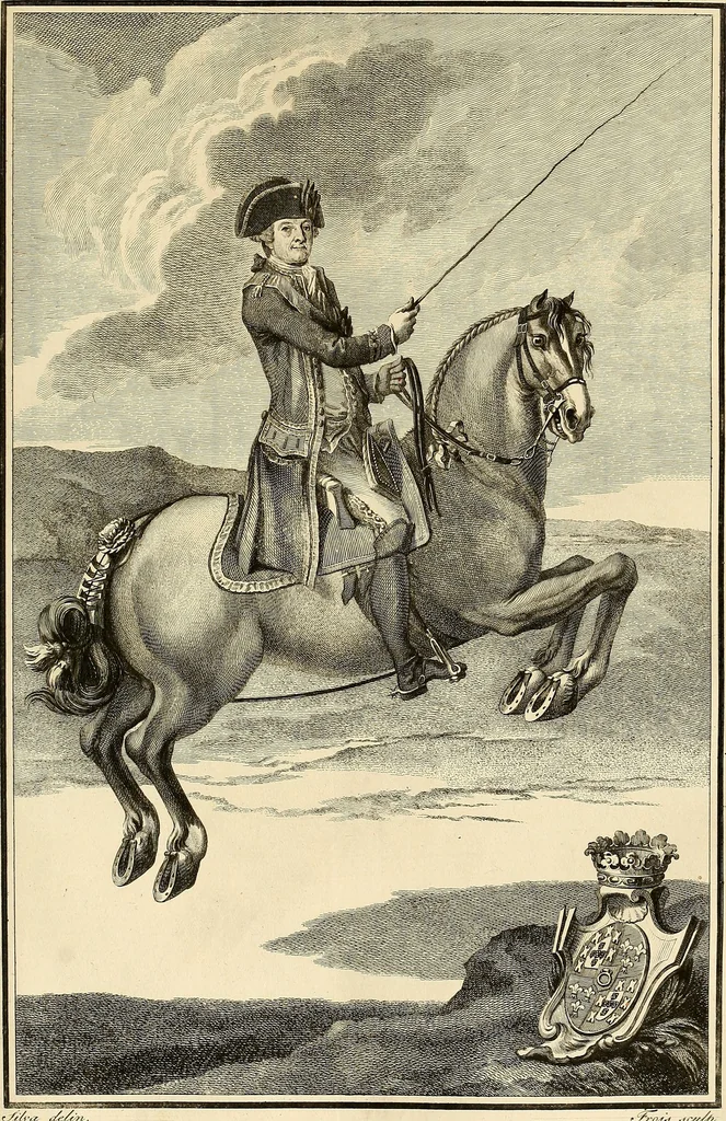 An illustration from Luz da liberal, e nobre arte da cavallaria : offerecida ao Senhor D. João, principe do Brazil, 1790, leaf 598