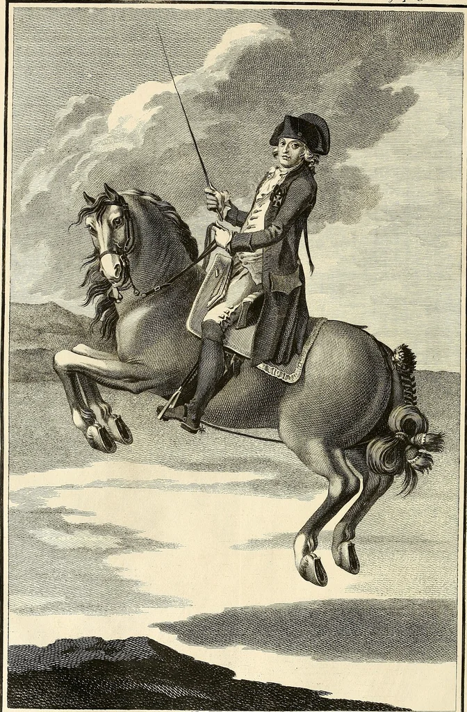 An illustration from Luz da liberal, e nobre arte da cavallaria : offerecida ao Senhor D. João, principe do Brazil, 1790, leaf 601