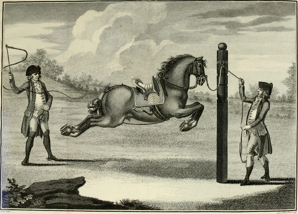 An illustration from Luz da liberal, e nobre arte da cavallaria : offerecida ao Senhor D. João, principe do Brazil, 1790, leaf 605