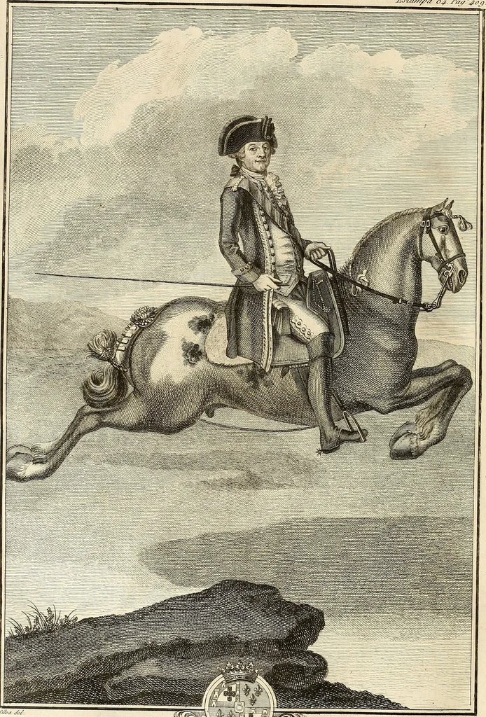 An illustration from Luz da liberal, e nobre arte da cavallaria : offerecida ao Senhor D. João, principe do Brazil, 1790, leaf 609
