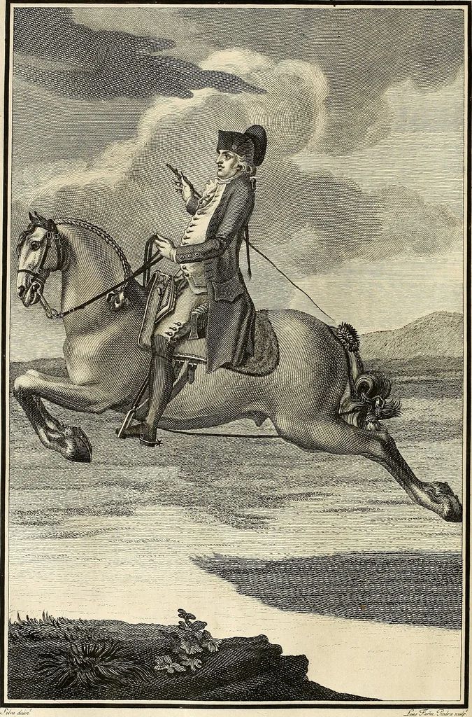 An illustration from Luz da liberal, e nobre arte da cavallaria : offerecida ao Senhor D. João, principe do Brazil, 1790, leaf 613