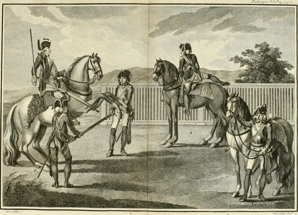 An illustration from Luz da liberal, e nobre arte da cavallaria : offerecida ao Senhor D. João, principe do Brazil, 1790, leaf 660