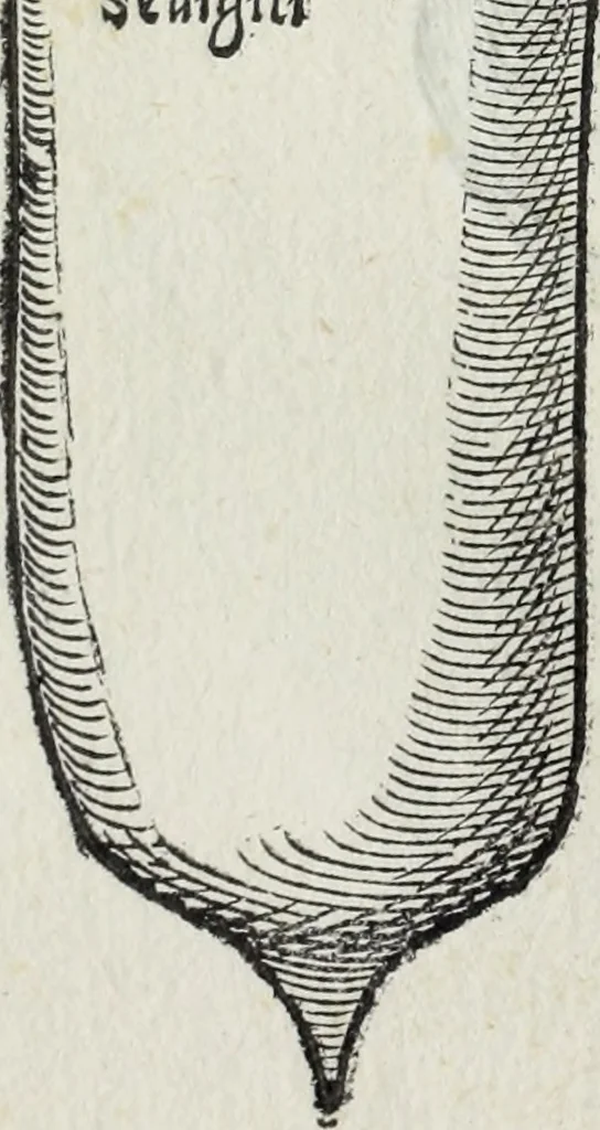 An illustration from Lvcae Paeti ivrisconsvl. De mensvribus et ponderibvs romanis et graecis : cum his qvae hodie Romae svnt collatis libri qvinqve : eivsdem variarvm lectionvm liber vnvs, 1573, leaf 111