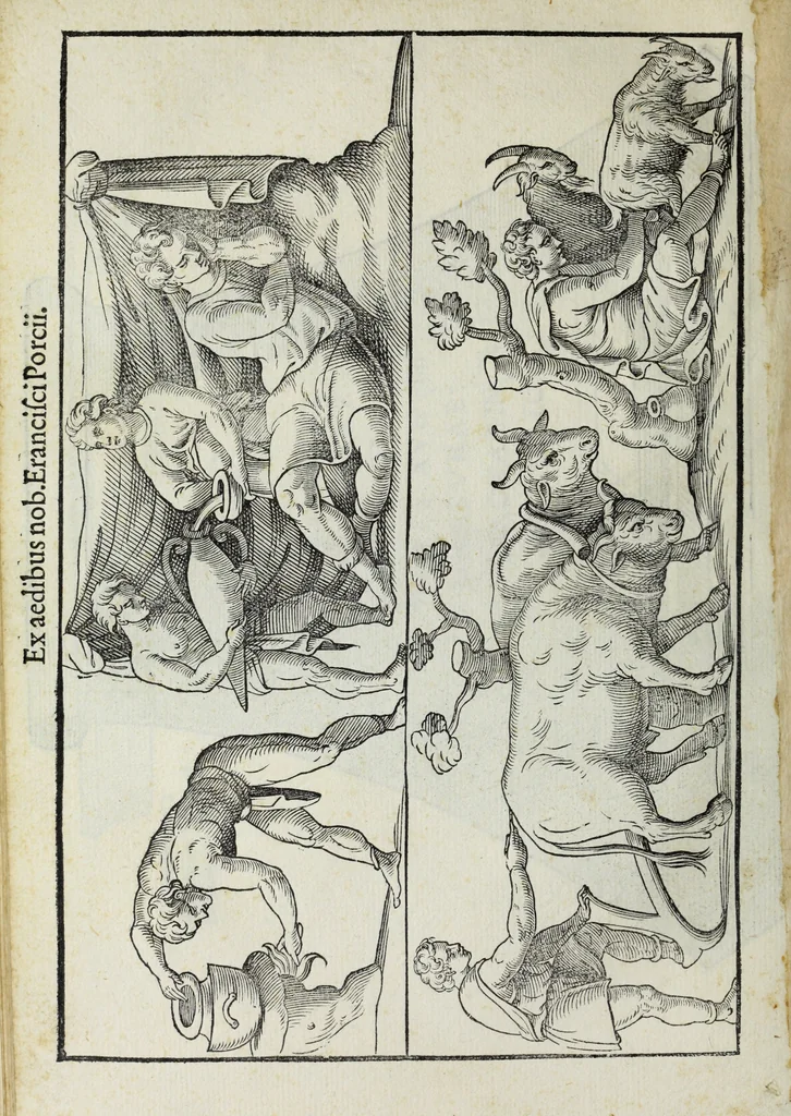 An illustration from Lvcae Paeti ivrisconsvl. De mensvribus et ponderibvs romanis et graecis : cum his qvae hodie Romae svnt collatis libri qvinqve : eivsdem variarvm lectionvm liber vnvs, 1573, leaf 115