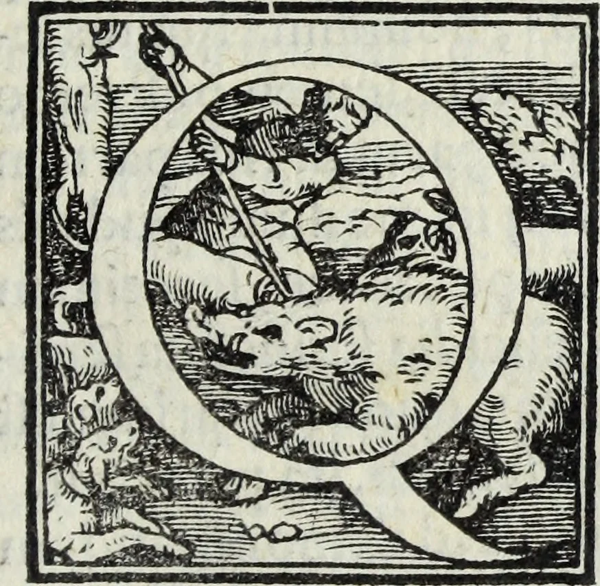 An illustration from Lvcae Paeti ivrisconsvl. De mensvribus et ponderibvs romanis et graecis : cum his qvae hodie Romae svnt collatis libri qvinqve : eivsdem variarvm lectionvm liber vnvs, 1573, leaf 116