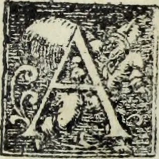An illustration from Lvcae Paeti ivrisconsvl. De mensvribus et ponderibvs romanis et graecis : cum his qvae hodie Romae svnt collatis libri qvinqve : eivsdem variarvm lectionvm liber vnvs, 1573, leaf 12