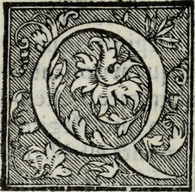 An illustration from Lvcae Paeti ivrisconsvl. De mensvribus et ponderibvs romanis et graecis : cum his qvae hodie Romae svnt collatis libri qvinqve : eivsdem variarvm lectionvm liber vnvs, 1573, leaf 141