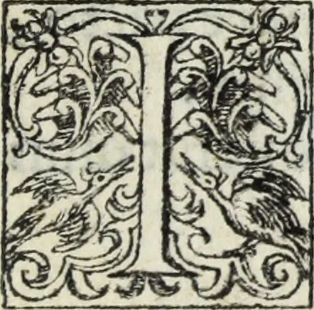 An illustration from Lvcae Paeti ivrisconsvl. De mensvribus et ponderibvs romanis et graecis : cum his qvae hodie Romae svnt collatis libri qvinqve : eivsdem variarvm lectionvm liber vnvs, 1573, leaf 144