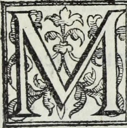 An illustration from Lvcae Paeti ivrisconsvl. De mensvribus et ponderibvs romanis et graecis : cum his qvae hodie Romae svnt collatis libri qvinqve : eivsdem variarvm lectionvm liber vnvs, 1573, leaf 32