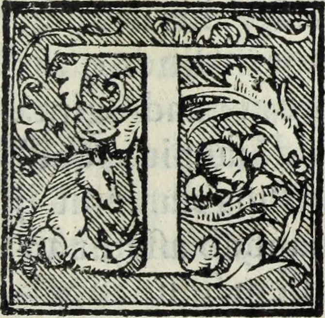 An illustration from Lvcae Paeti ivrisconsvl. De mensvribus et ponderibvs romanis et graecis : cum his qvae hodie Romae svnt collatis libri qvinqve : eivsdem variarvm lectionvm liber vnvs, 1573, leaf 86