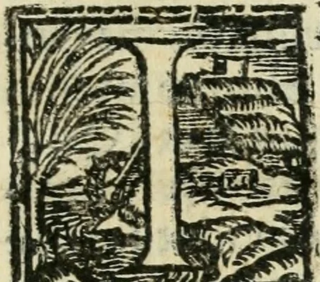 An illustration from Lvdovici Demontiosii Gallvs Romae hospes : vbi multa antiquorum monimenta explicantur, pars pristinae formae restituuntur : opus in quinque partes tributum, 1585, leaf 42