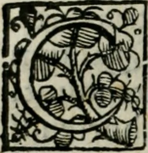 An illustration from Lvdovici Demontiosii Gallvs Romae hospes : vbi multa antiquorum monimenta explicantur, pars pristinae formae restituuntur : opus in quinque partes tributum, 1585, leaf 87