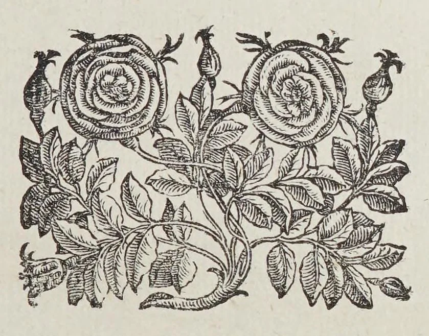 An illustration from L'vniuersale fabrica del mondo, ouera Cosmografia, 1596, leaf 59