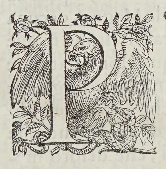 An illustration from L'vniuersale fabrica del mondo, ouera Cosmografia, 1596, leaf 7