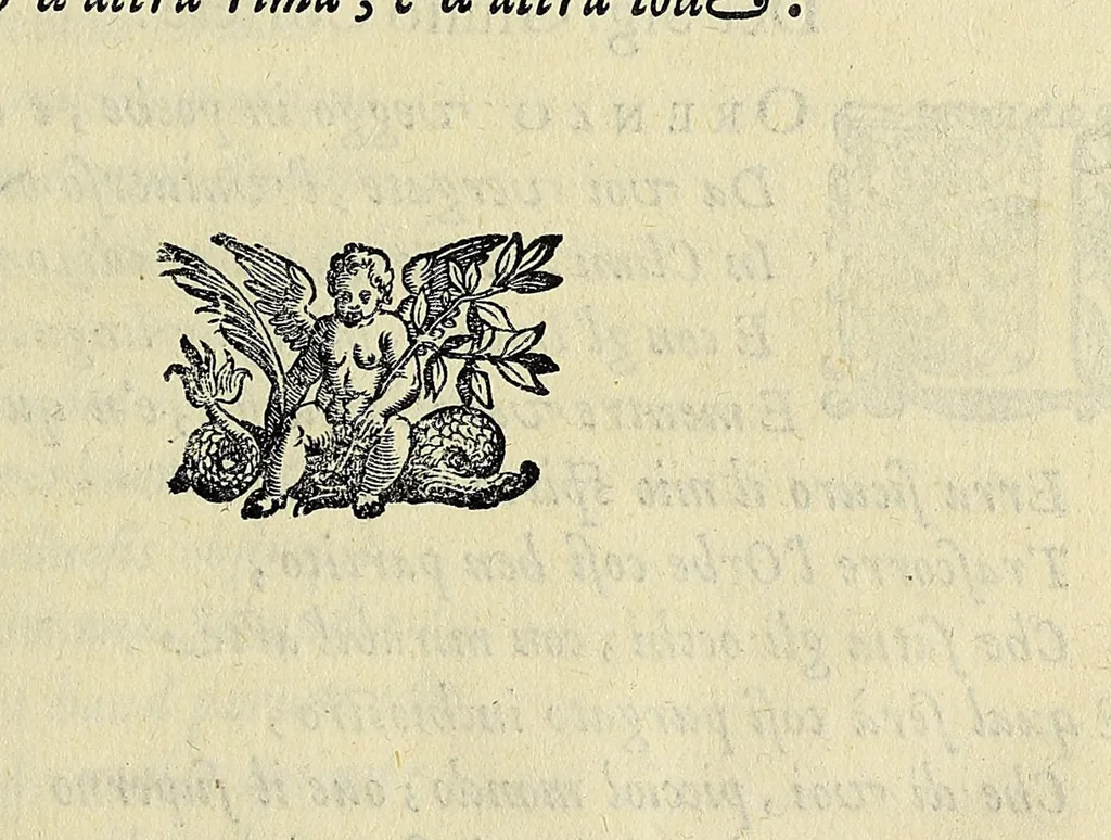 An illustration from L'vniversale fabrica del mondo, overo Cosmografia dell'ecc. Gio. Lorenzo d'Anania, diuisa in quattro trattati ... Di nuouo ornata con le figure delle quattro parti del mondo in rame: et dal medesimo auttore con infinite aggiuntioni per ogni parte dell' opera ampliata .., 1596, leaf 15