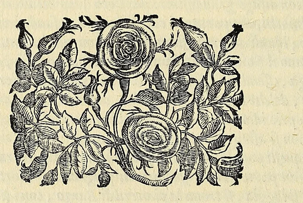 An illustration from L'vniversale fabrica del mondo, overo Cosmografia dell'ecc. Gio. Lorenzo d'Anania, diuisa in quattro trattati ... Di nuouo ornata con le figure delle quattro parti del mondo in rame: et dal medesimo auttore con infinite aggiuntioni per ogni parte dell' opera ampliata .., 1596, leaf 374