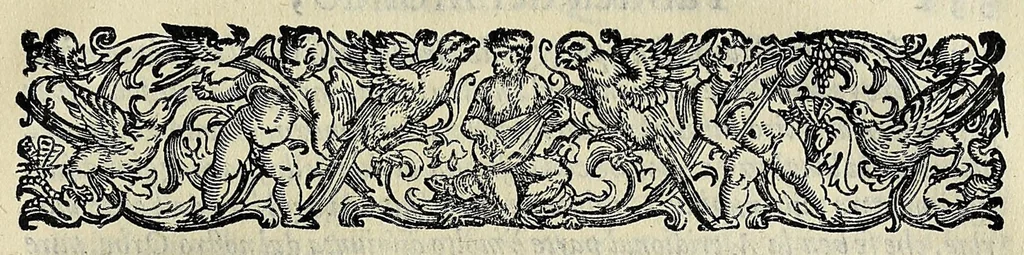An illustration from L'vniversale fabrica del mondo, overo Cosmografia dell'ecc. Gio. Lorenzo d'Anania, diuisa in quattro trattati ... Di nuouo ornata con le figure delle quattro parti del mondo in rame: et dal medesimo auttore con infinite aggiuntioni per ogni parte dell' opera ampliata .., 1596, leaf 427