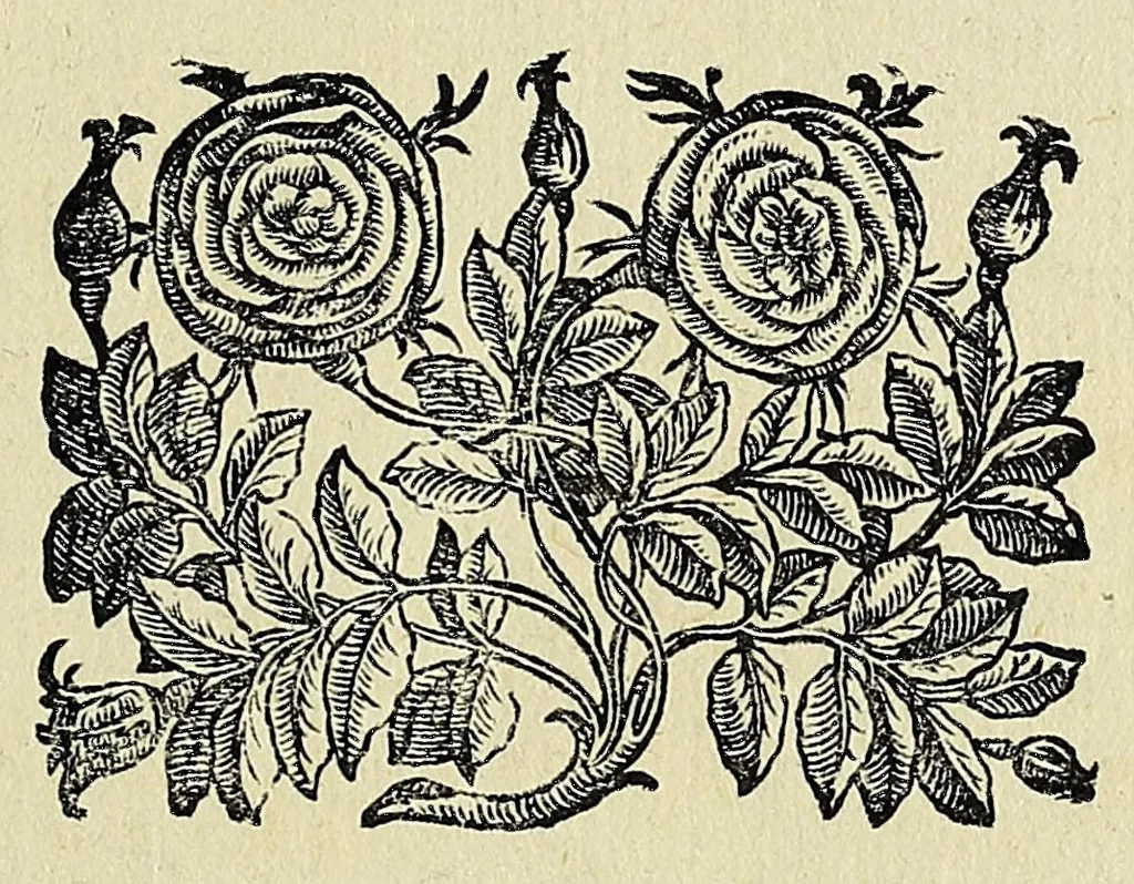 An illustration from L'vniversale fabrica del mondo, overo Cosmografia dell'ecc. Gio. Lorenzo d'Anania, diuisa in quattro trattati ... Di nuouo ornata con le figure delle quattro parti del mondo in rame: et dal medesimo auttore con infinite aggiuntioni per ogni parte dell' opera ampliata .., 1596, leaf 59