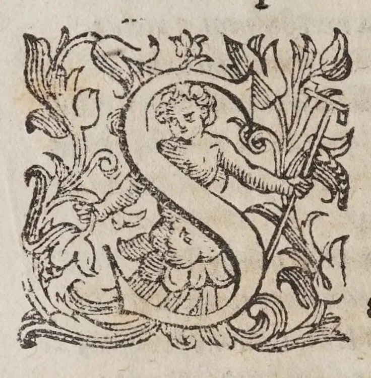An illustration from L'vniverso, ouero, Il polemidoro : poema eroico, 1600, leaf 104