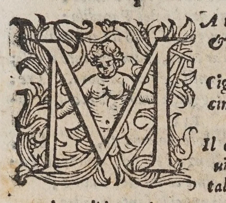 An illustration from L'vniverso, ouero, Il polemidoro : poema eroico, 1600, leaf 118