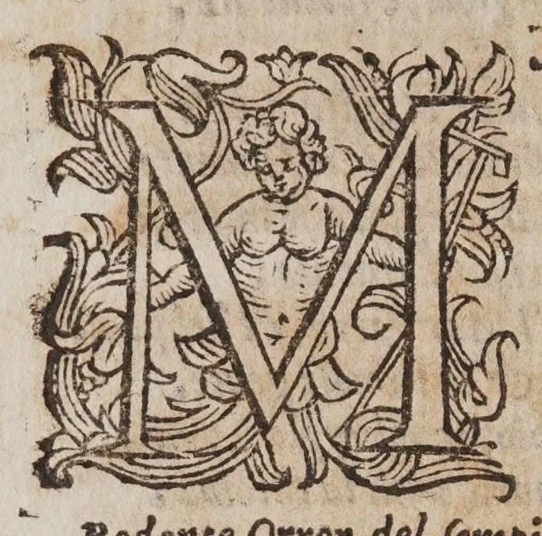 An illustration from L'vniverso, ouero, Il polemidoro : poema eroico, 1600, leaf 20