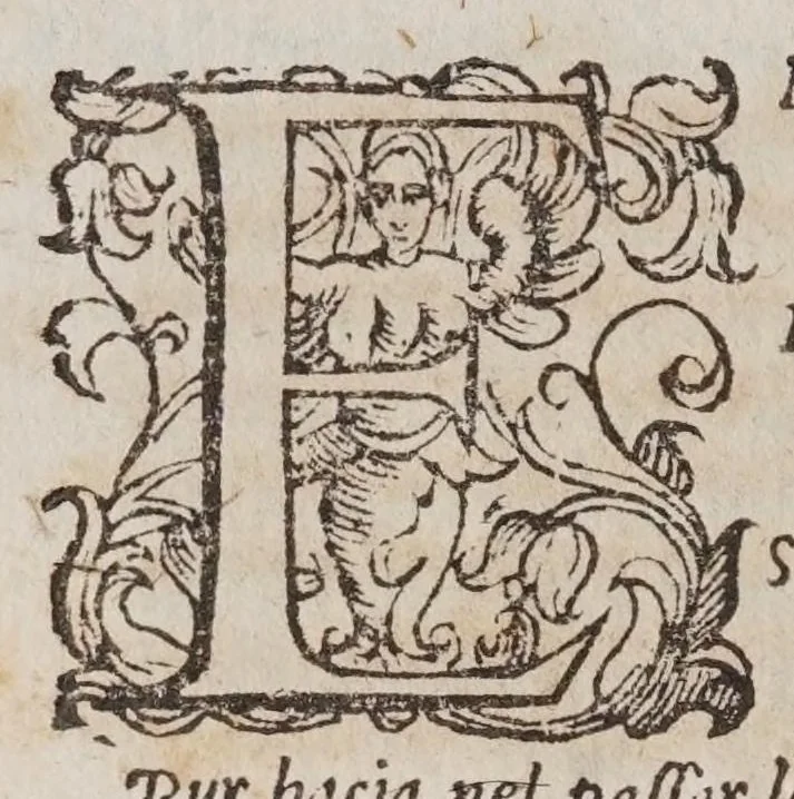An illustration from L'vniverso, ouero, Il polemidoro : poema eroico, 1600, leaf 42