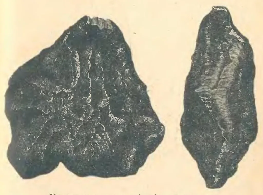 An illustration from Кометы и падающие звезды, 1923, leaf 4