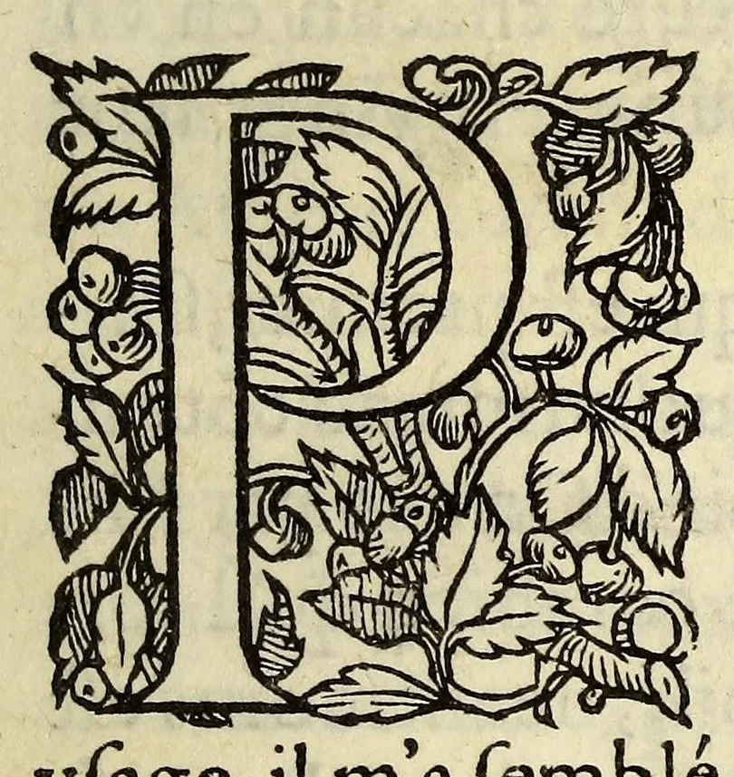 An illustration from L'vsage de l'astrolabe, : avec vn petit traicté de la sphere,, 1559, leaf 23