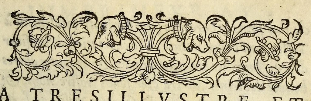 An illustration from L'vsage de l'astrolabe, : avec vn petit traicté de la sphere,, 1559, leaf 9