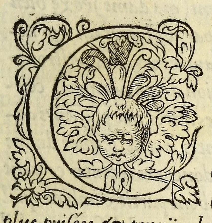 An illustration from L'vsage de l'astrolabe, : avec vn petit traicté de la sphere,, 1559, leaf 9