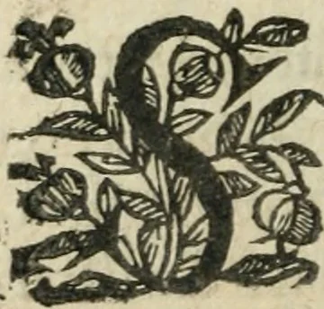 An illustration from L'vsage de l'vn et l'avtre astrolabe particvlier et vniversel. Expliqué tant en la declaration de leurs parties, qu'exposition fidelle & facile de leur practique en astronomie & geometrie, 1625, leaf 97