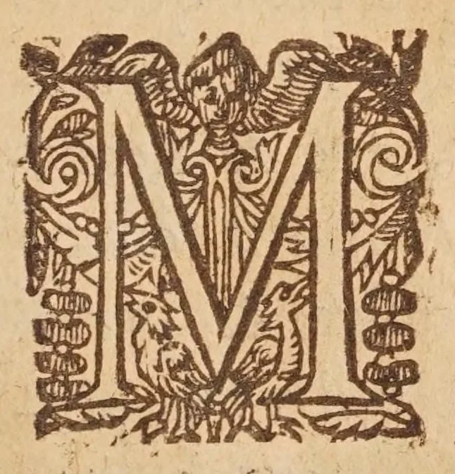 An illustration from L'vsage dv mecometre : qvi est vn instrvment geometrique, auec lequel on peut tres-facilement mesurer toutes sortes de longueurs & distances visibles : prendre & rapporter au petit pied le plan des villes, chasteaux & autres places : trasser tant sur le papier que sur la terre telles figures & fortifications qu'on voudra : faire toutes sortes de cartes tant geographiques que chorographiques : & pratiques toutes les autres operations d'arithmetique & de geometrie, qui se pratiquent auec le compas de proportion, la regle proportionelle, le graphometre & la boussole, 1630, leaf 11