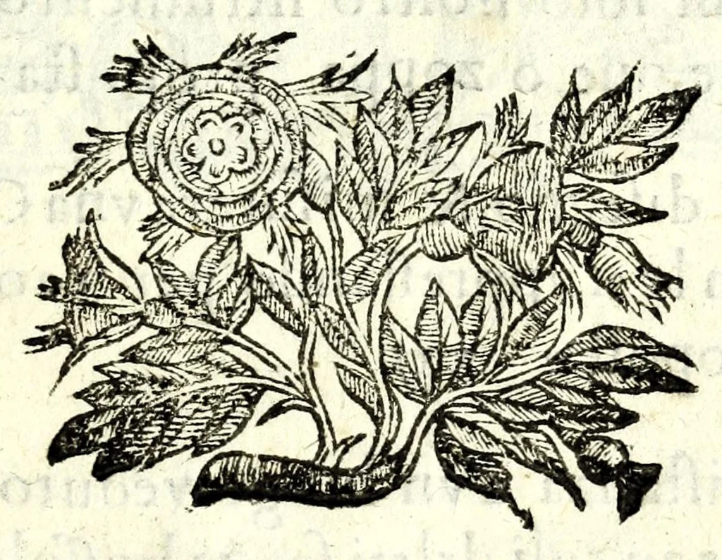 An illustration from L'vso della squadra mobile : con la quale per teorica, & pratica si misura geometricamente ogni distanza, altezza, e profondità : s'impara à perticare, liuellare, et pigliare in disegno le città, paesi, et prouincie : il tutto con le sue dimostrationi intagliate in rame, 1615, leaf 121