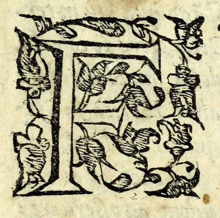 An illustration from L'vso della squadra mobile : con la quale per teorica, & pratica si misura geometricamente ogni distanza, altezza, e profondità : s'impara à perticare, liuellare, et pigliare in disegno le città, paesi, et prouincie : il tutto con le sue dimostrationi intagliate in rame, 1615, leaf 13