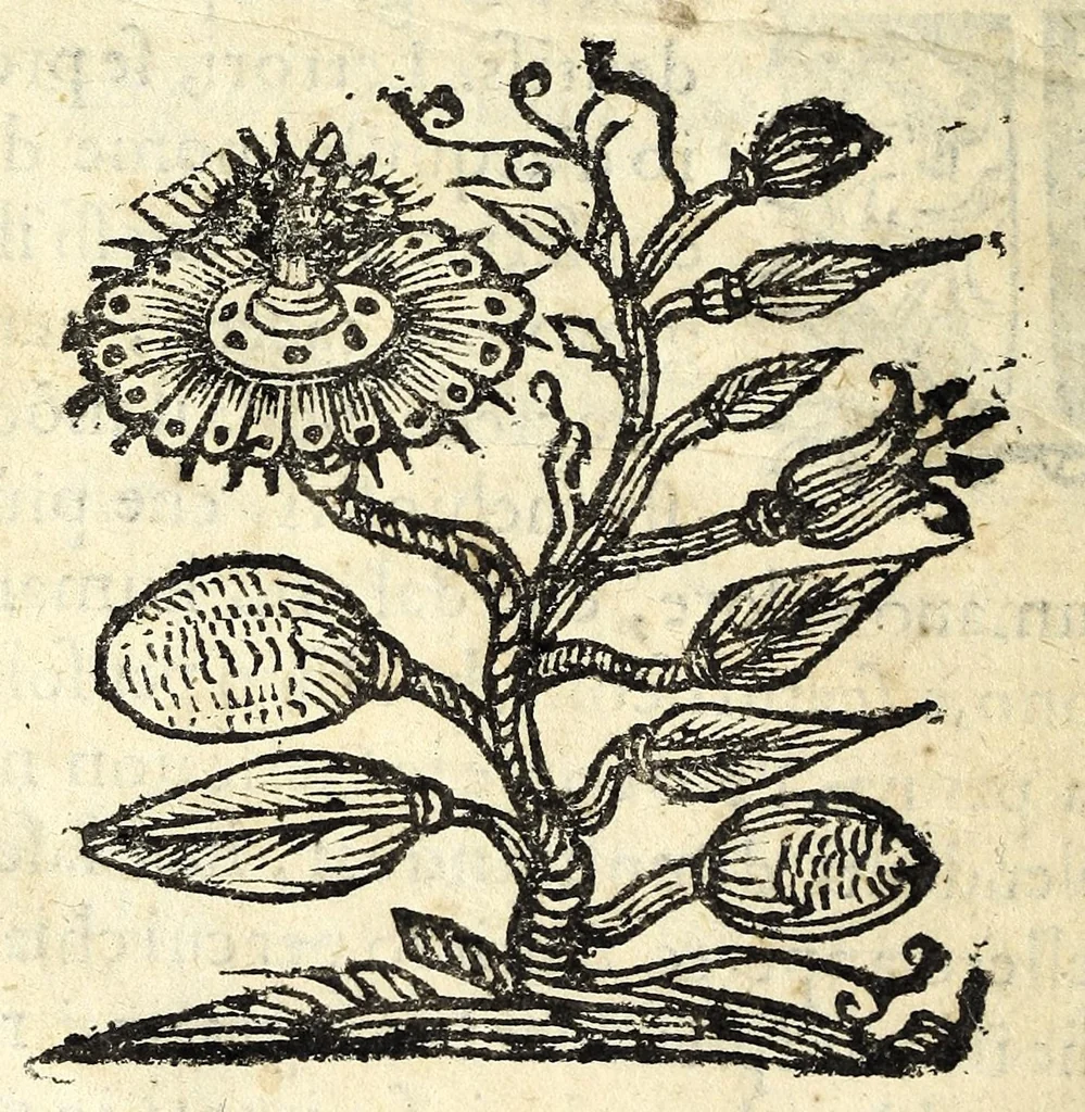 An illustration from L'vso della squadra mobile : con la quale per teorica, & pratica si misura geometricamente ogni distanza, altezza, e profondità : s'impara à perticare, liuellare, et pigliare in disegno le città, paesi, et prouincie : il tutto con le sue dimostrationi intagliate in rame, 1615, leaf 18