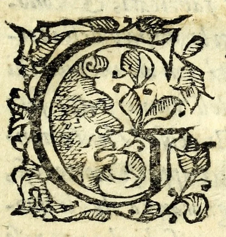 An illustration from L'vso della squadra mobile : con la quale per teorica, & pratica si misura geometricamente ogni distanza, altezza, e profondità : s'impara à perticare, liuellare, et pigliare in disegno le città, paesi, et prouincie : il tutto con le sue dimostrationi intagliate in rame, 1615, leaf 19