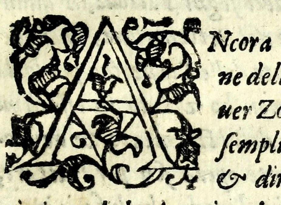 An illustration from L'vso della squadra mobile : con la quale per teorica, & pratica si misura geometricamente ogni distanza, altezza, e profondità : s'impara à perticare, liuellare, et pigliare in disegno le città, paesi, et prouincie : il tutto con le sue dimostrationi intagliate in rame, 1615, leaf 33
